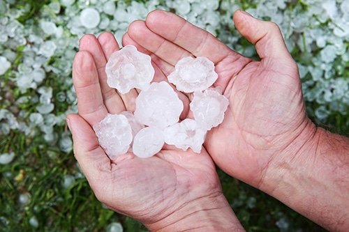 hail in hands